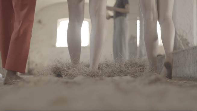 SENSORIUM  (2017) cameraperson Billy Craigan 6